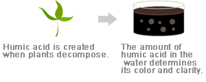 Humic acid is created when plants decompose.The amount of humic acid in the water determines its color and clarity.