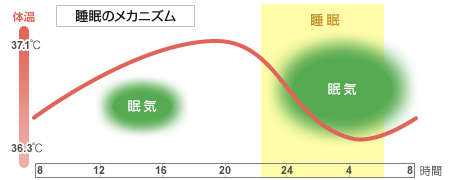 上がる 体温 お 上がり 風呂