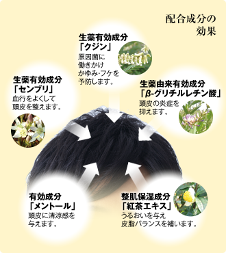 配合成分の効果 ・生薬有効成分「クジン」原因菌に働きかけかゆみ・フケを予防します。 ・生薬由来有効成分「β-グリチルレチン酸」頭皮の炎症を抑えます。 ・生薬有効成分「センブリ」血行をよくして頭皮を整えます。・整肌保湿成分「紅茶エキス」うるおいを与え皮脂バランスを補います。 有効成分「メントール」頭皮に清涼感を与えます。