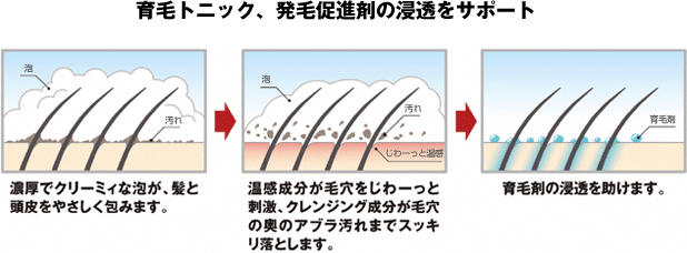 育毛トニック、発毛促進剤の浸透をサポート