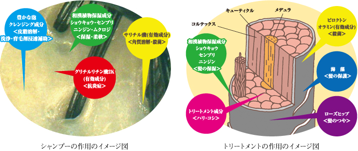 シャンプーの作用のイメージ図/トリートメントの作用のイメージ図