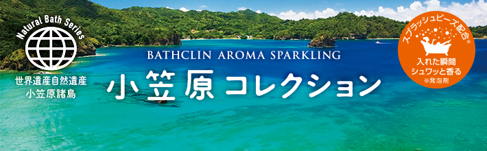快い 楕円形 リファイン 小笠原 コレクション 入浴 剤 Soehnlencattle Com 快い 楕円形 リファイン 小笠原 コレクション 入浴 剤 Soehnlencattle Com