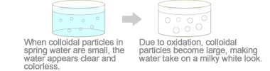 When colloidal particles in spring water are small, the water appears clear and colorless. Due to oxidation, colloidal particles become large, making water take on a milky white look.