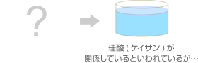 珪酸(ケイサン)が関係しているといわれているが…