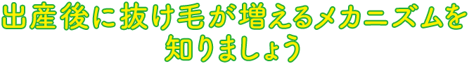 出産後に抜け毛が増えるメカニズムを知りましょう