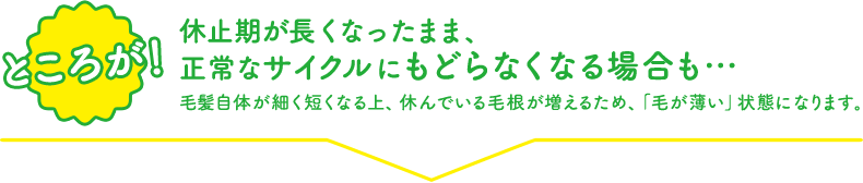 ところが！休止期が長くなったまま、正常なサイクルにもどらなくなる場合も…毛髪自体が細く短くなる上、休んでいる毛根が増えるため、「毛が薄い」状態になります。