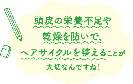 頭皮の栄養不足や乾燥を防いで、ヘアサイクルを整えることが大切なんですね！