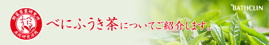 ׂɂӂ̃`J@uׂɂӂvɂĂЉ܂B