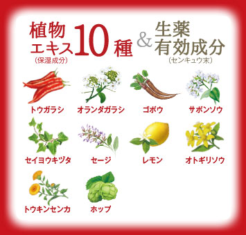 植物成分10種類&生薬有効成分