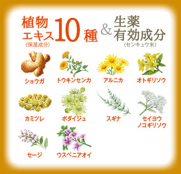 植物成分10種類&生薬有効成分