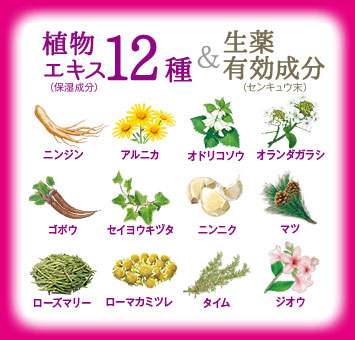 植物成分12種類&生薬有効成分