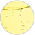 フレッシュイエローのお湯(透明タイプ)