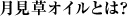 月見オイルとは?