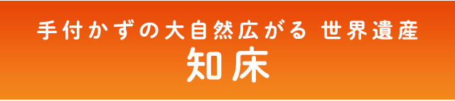 バスクリン アロマスパークリング 小笠原コレクション 製品情報 株式会社バスクリン バスクリン アロマスパークリング 小笠原コレクション 製品情報 株式会社バスクリン