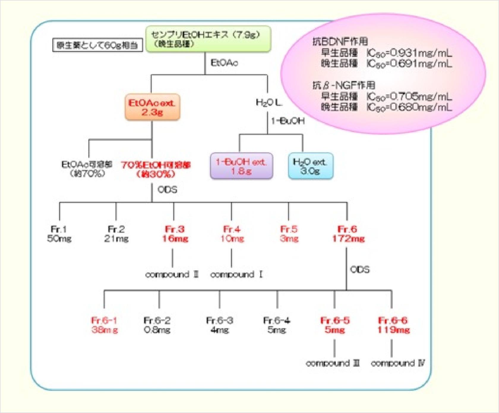 脱毛因子をターゲットにしたメカニズムの解明