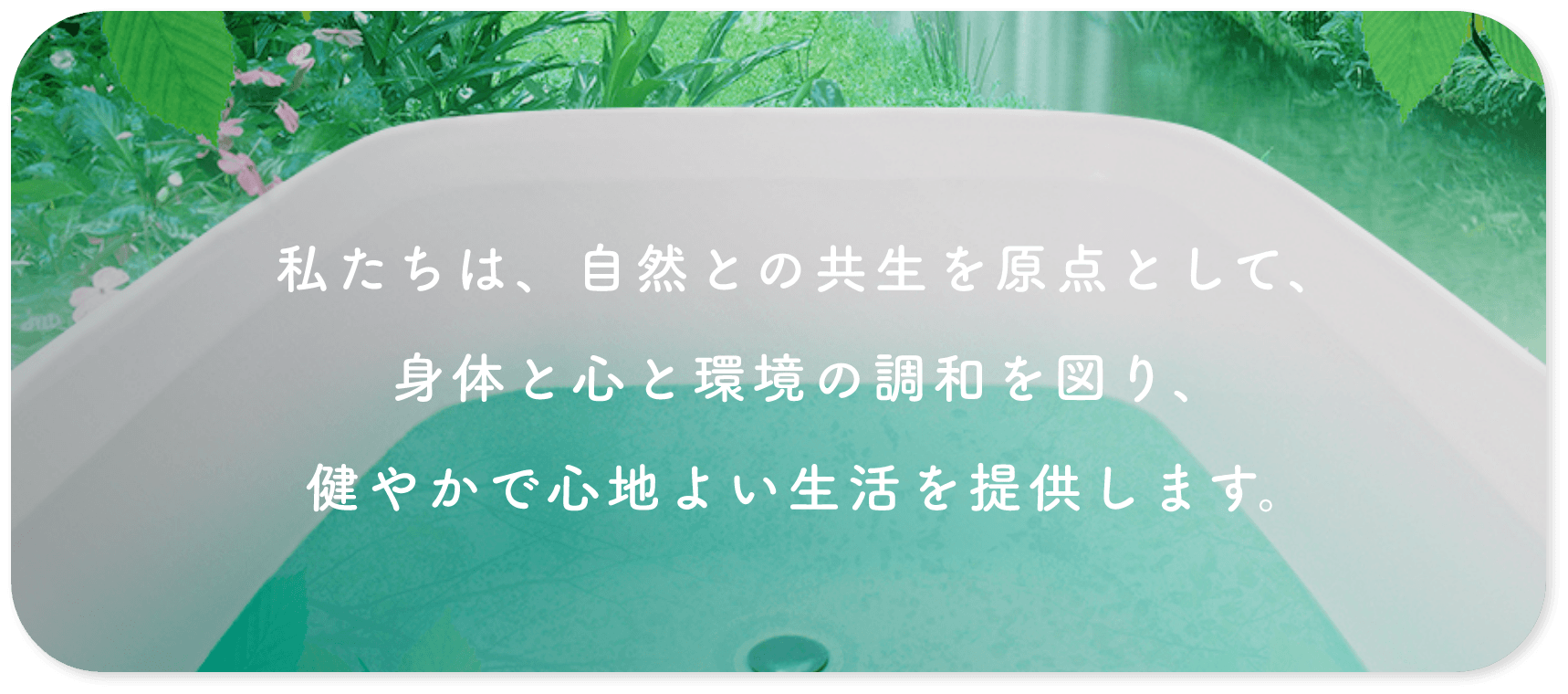 9030円 【2021正規激安】 アライブン Invel SPA 入浴剤 x6箱 ht.tanukiさん専用