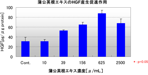 蒲公英エキスによる毛包強化因子*の産生促進作用