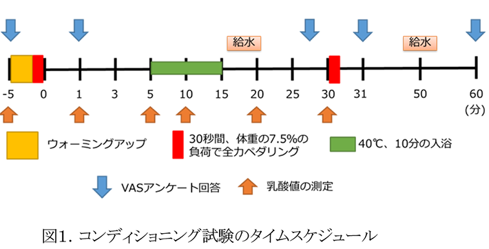 図1.コンディショニング試験のタイムスケジュール