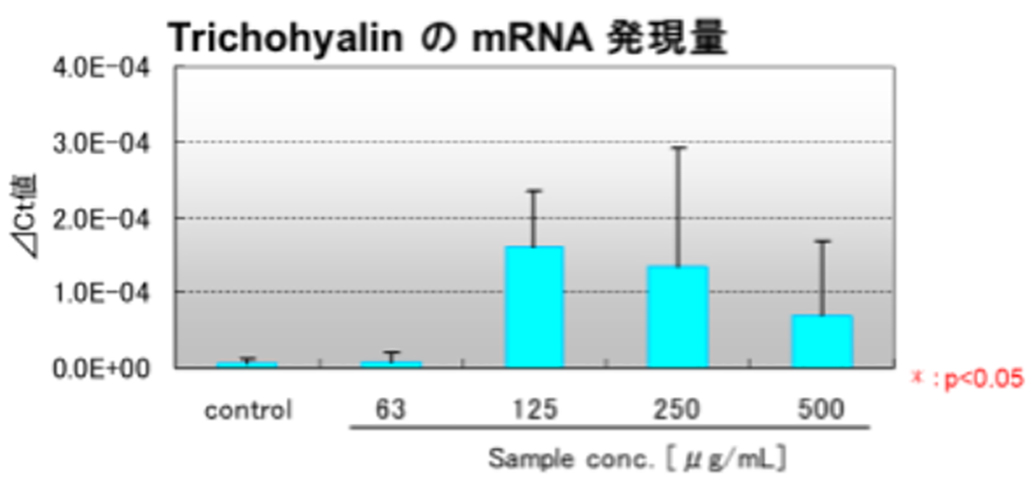 蒲公英根エキスの毛包強化因子（Keratin Bundling Protein）発現促進作用について