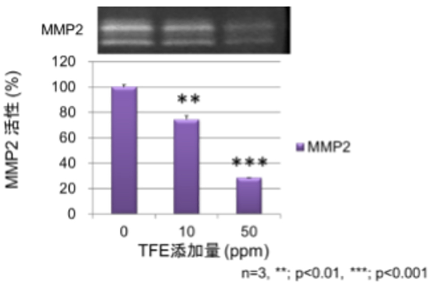 ミロバラン果実エキスのMMP2***活性阻害作用