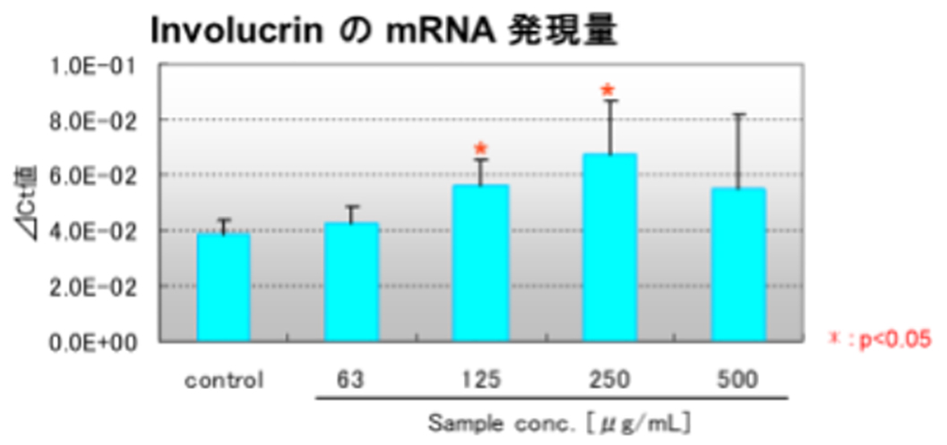 蒲公英根エキスの毛包強化因子（Keratin Bundling Protein）発現促進作用について