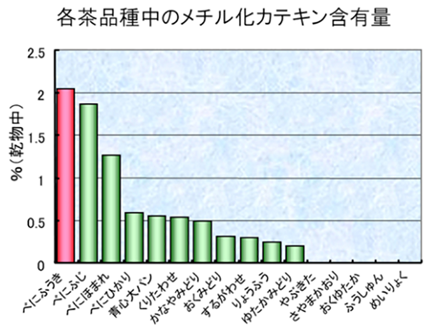 アトピー性皮膚炎で生じるかゆみ改善への可能性