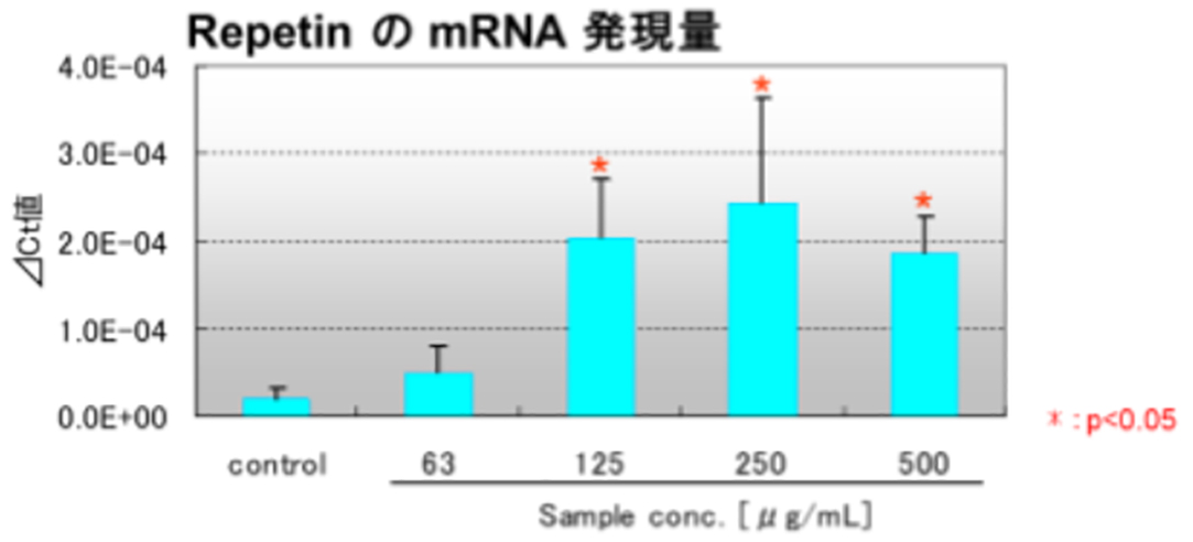 蒲公英根エキスの毛包強化因子（Keratin Bundling Protein）発現促進作用について