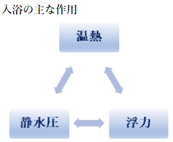 入浴の主な作用