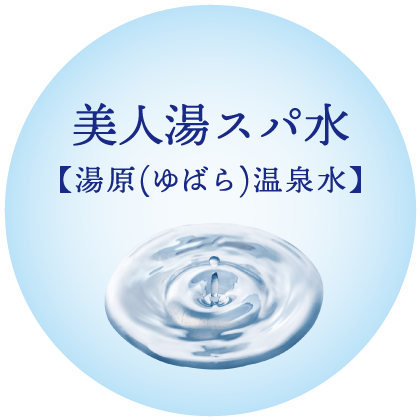 温泉ミネラル【塩化Na、硫酸Na、炭酸水素Na】