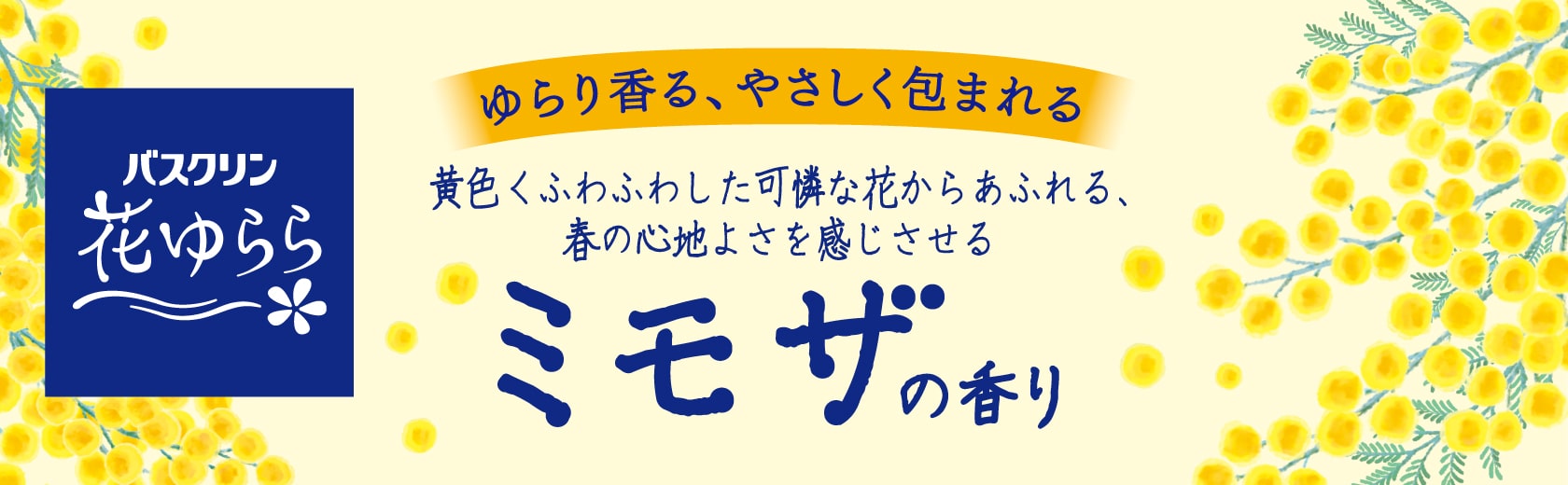 ミモザの香り